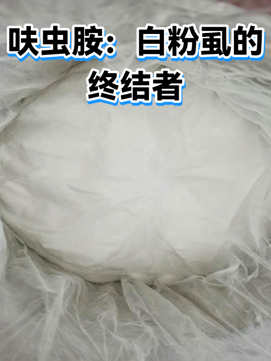 呋虫胺：白粉虱的终结者（图1）