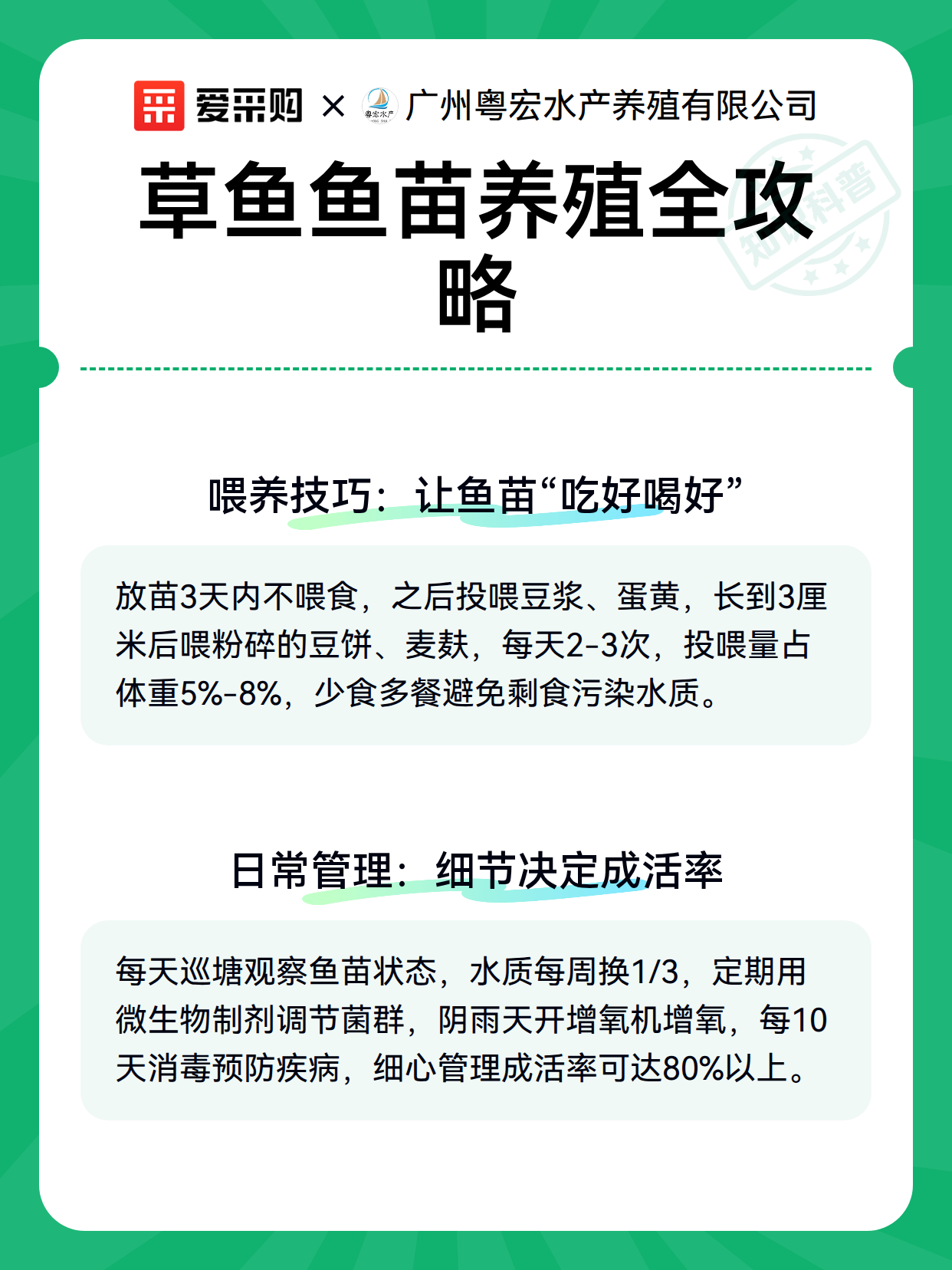 草鱼鱼苗养殖全攻略（图2）