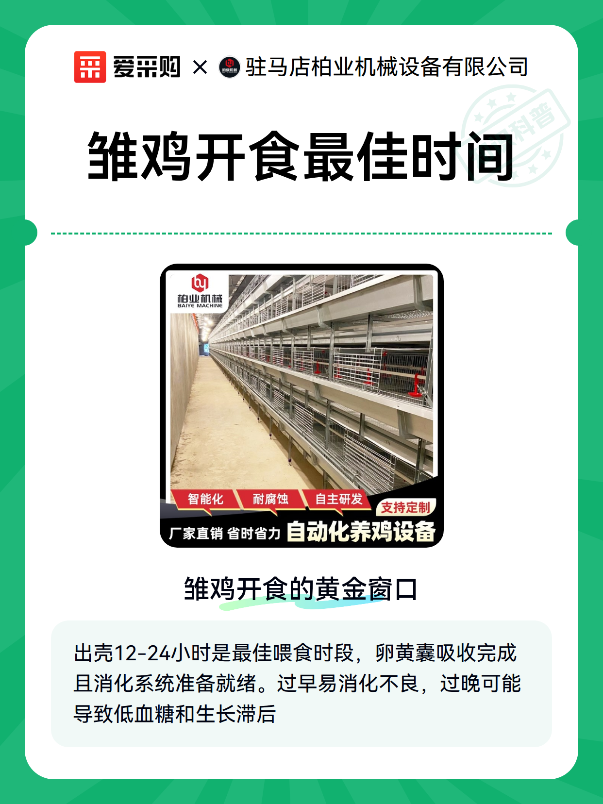 雏鸡开食最佳时间（图1）