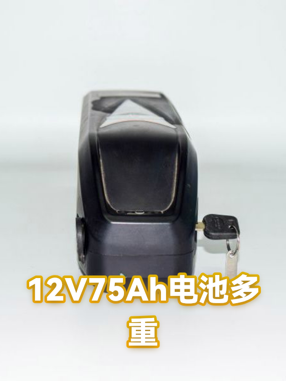 12V75Ah电池多重（图1）