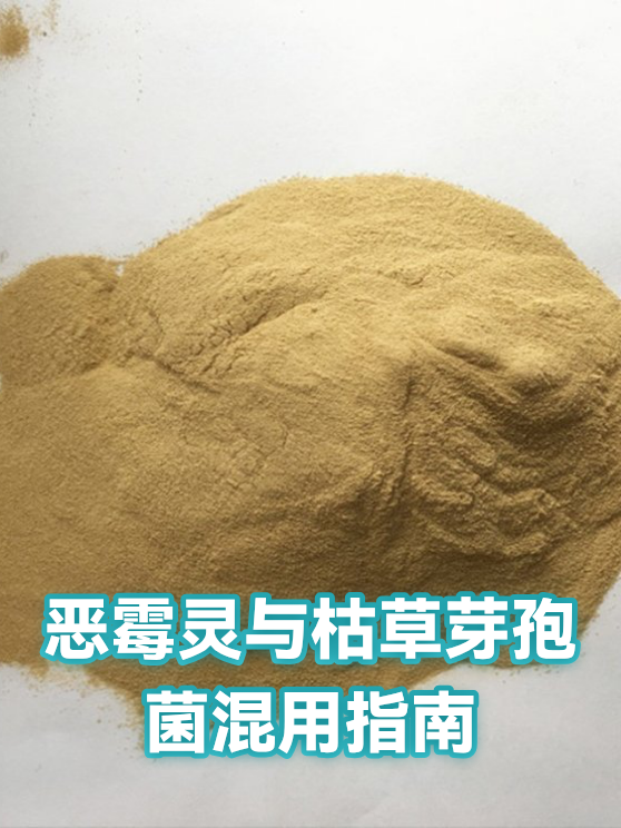 恶霉灵与枯草芽孢菌混用指南（图1）