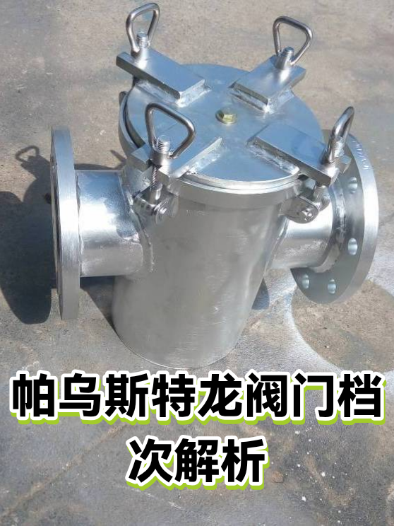 帕乌斯特龙阀门档次解析（图1）