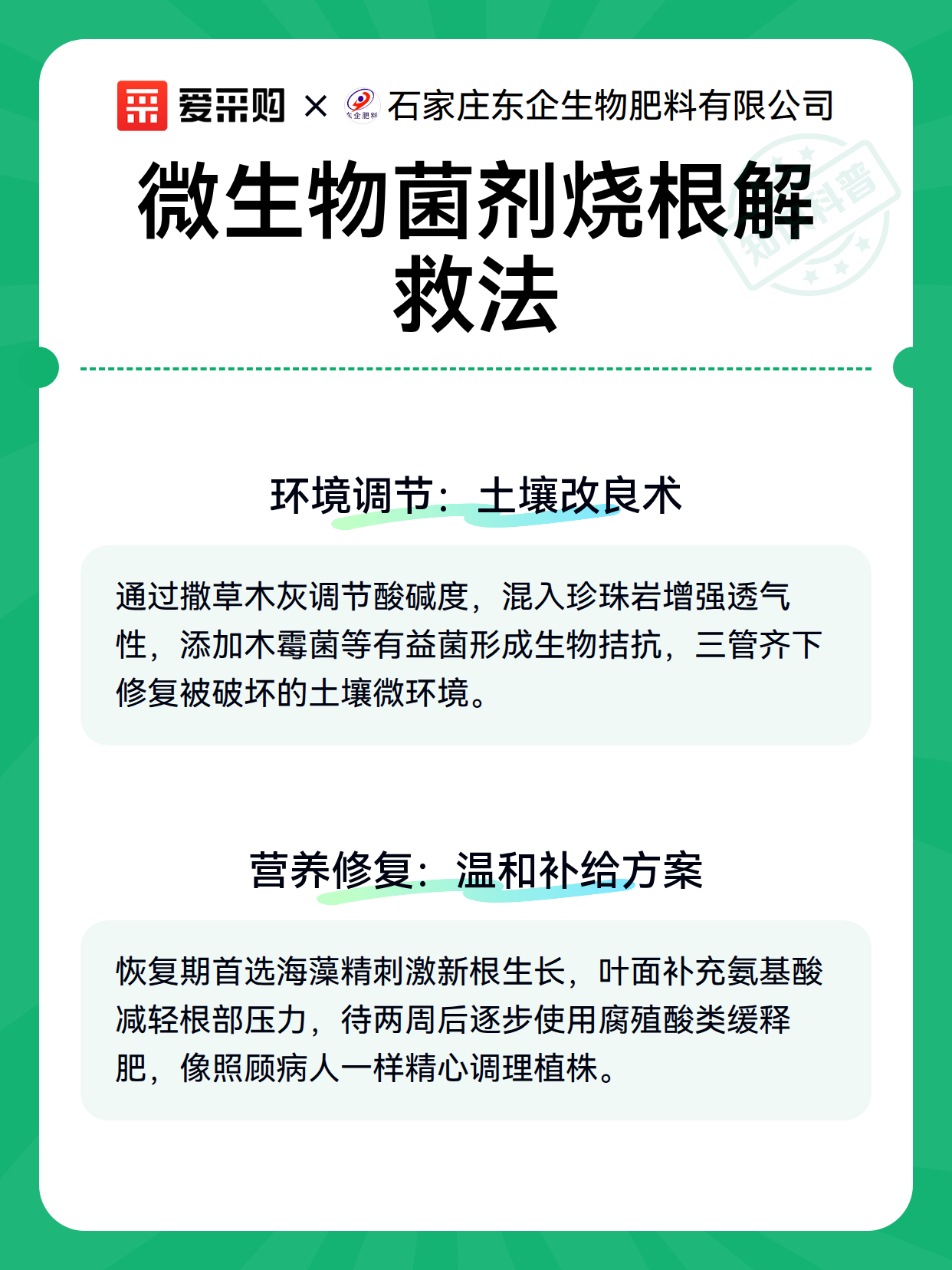 微生物菌剂烧根解救法（图3）