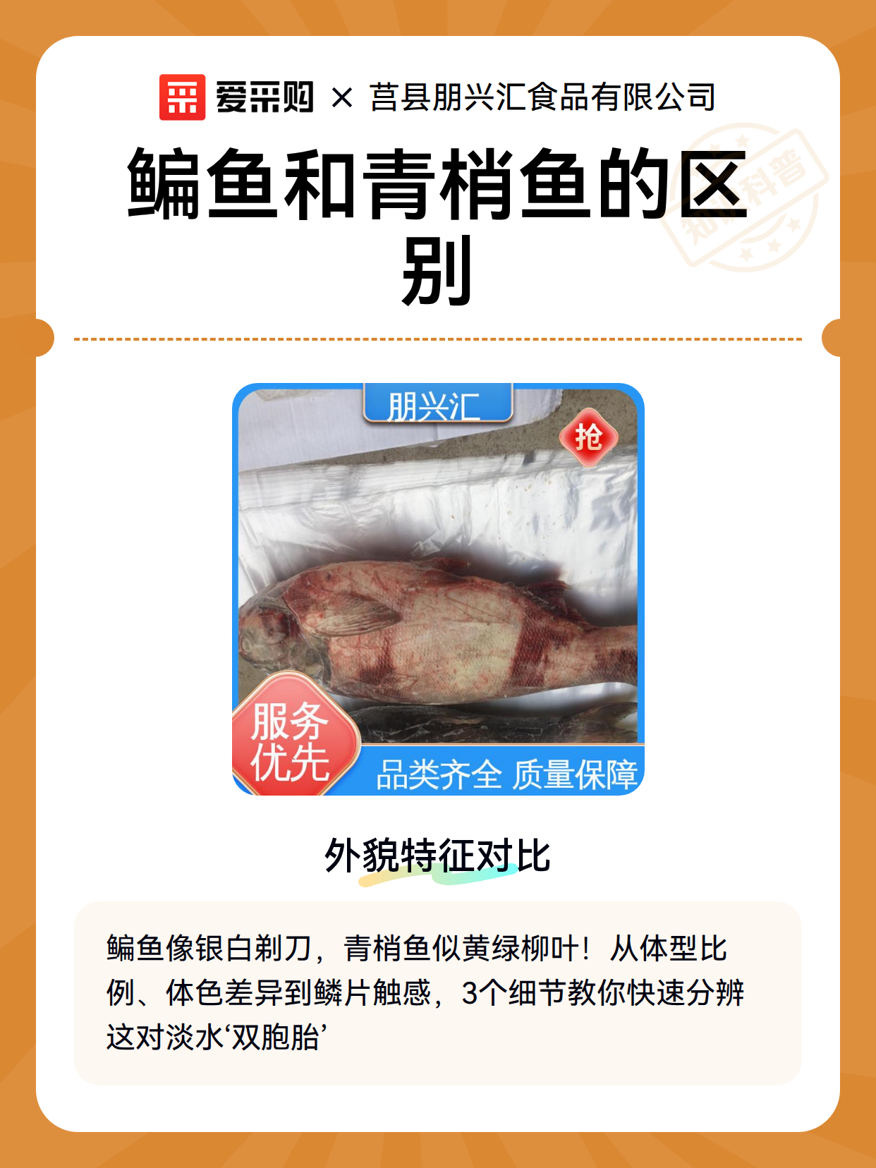 鳊鱼和青梢鱼的区别（图1）