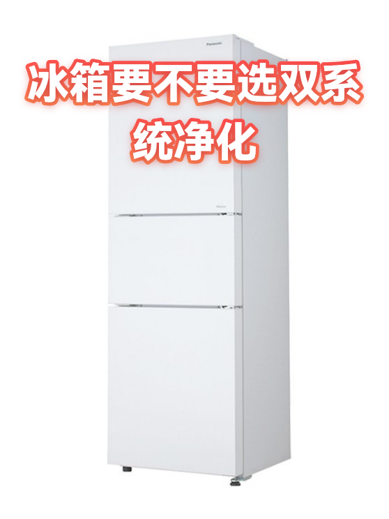 冰箱要不要选双系统净化（图1）