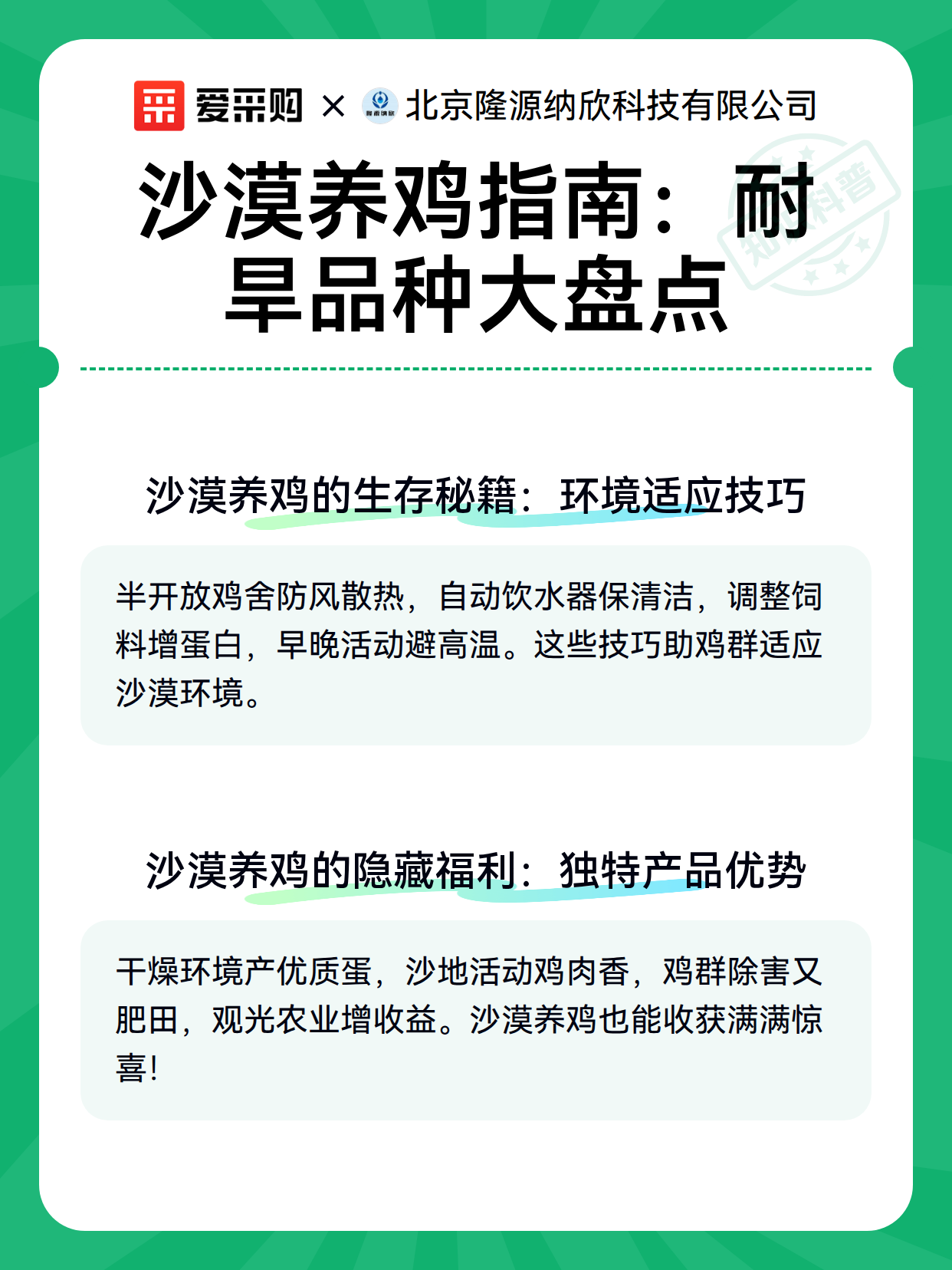 沙漠养鸡指南：耐旱品种大盘点（图2）