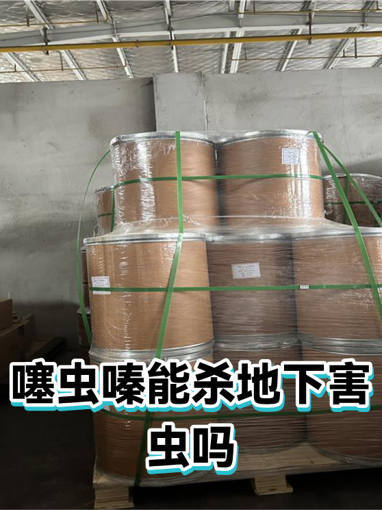 噻虫嗪能杀地下害虫吗（图1）