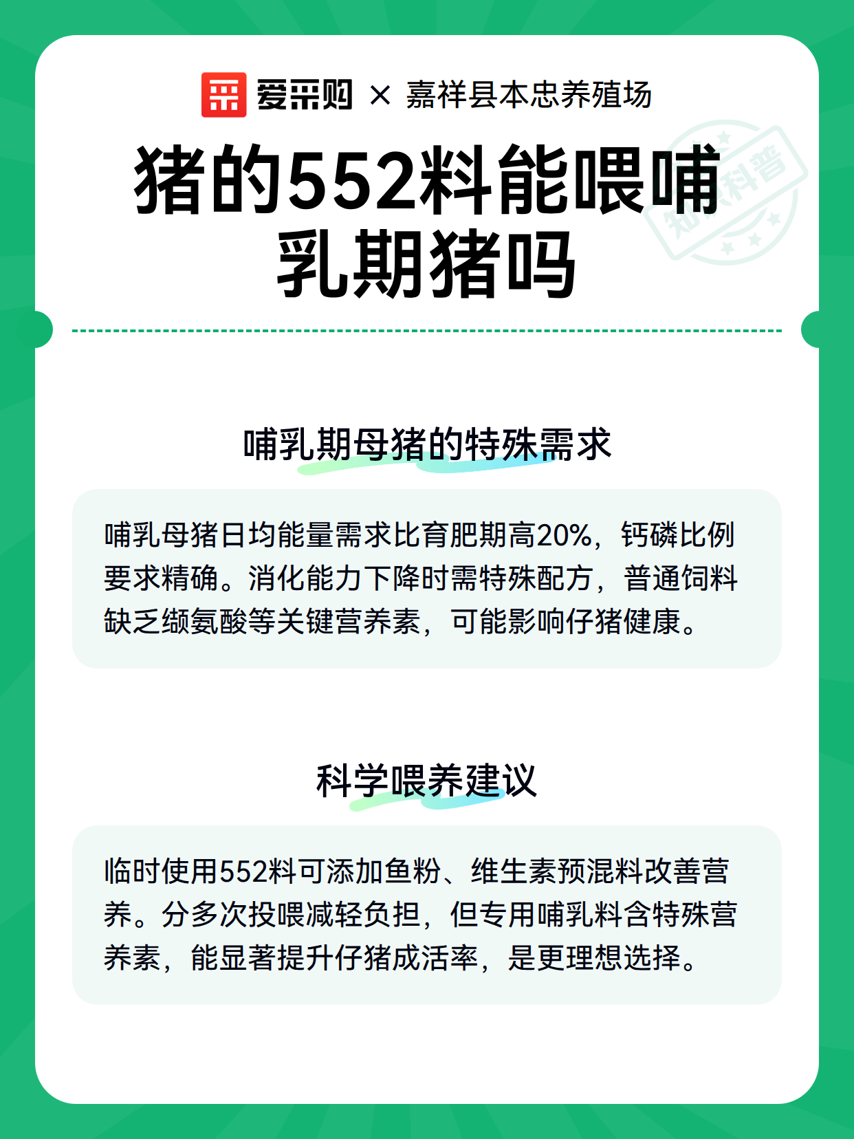 猪的552料能喂哺乳期猪吗（图2）