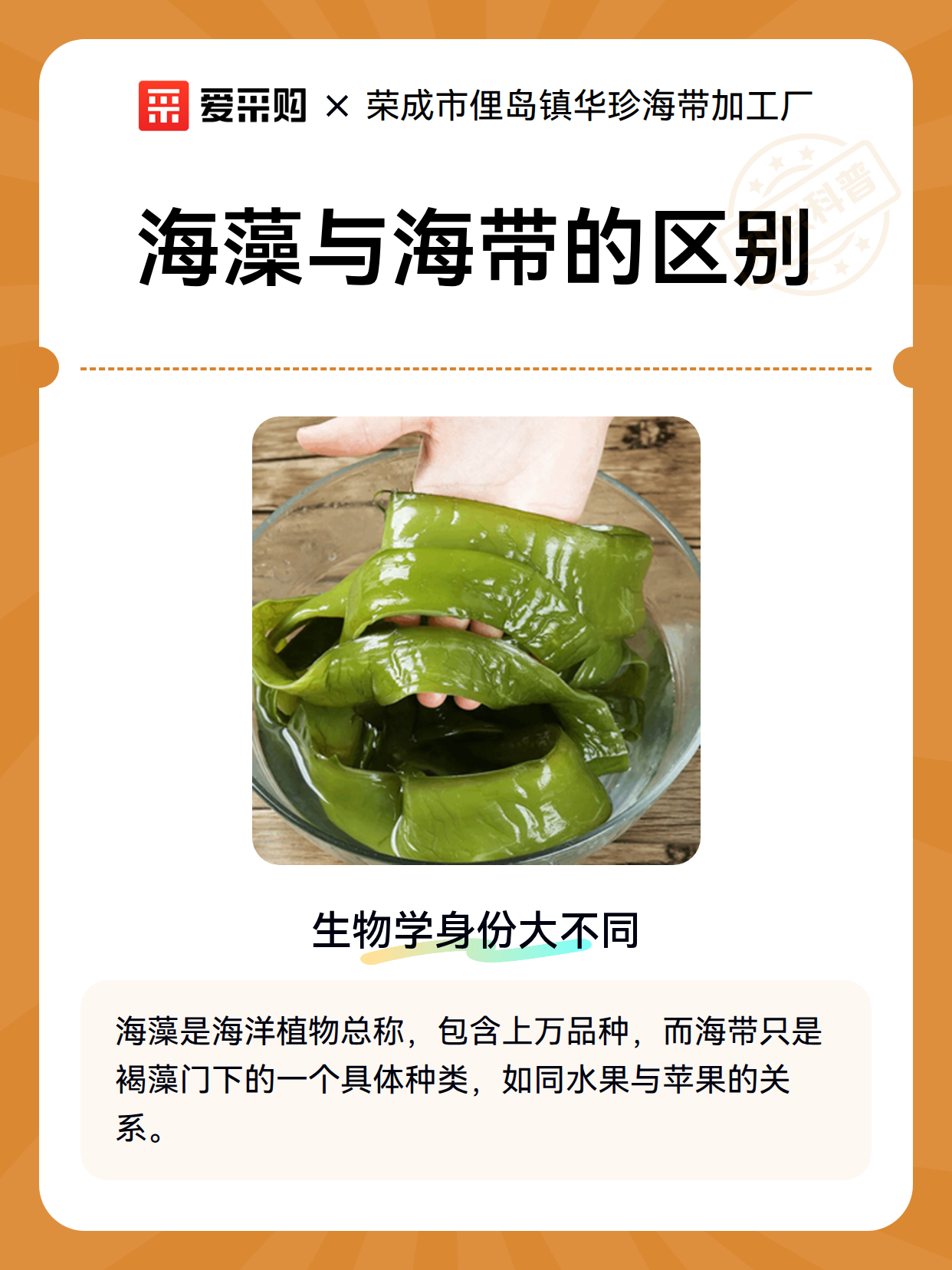 海藻与海带的区别（图2）