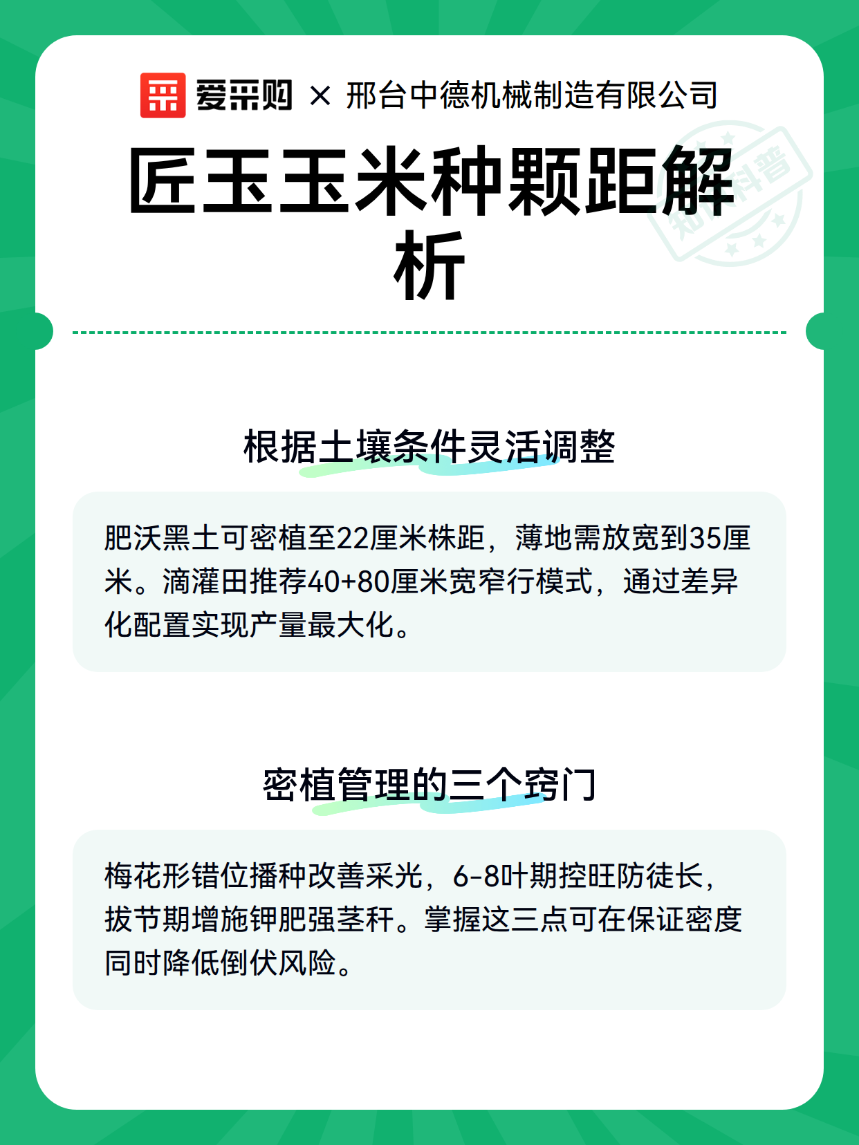 匠玉玉米种颗距解析（图3）