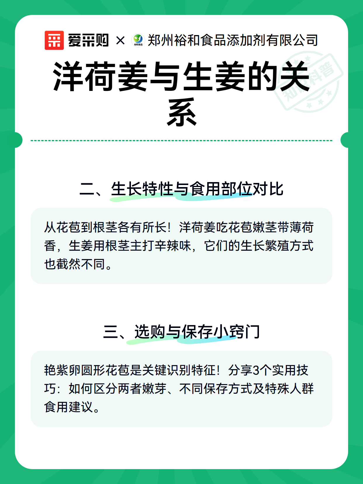 洋荷姜与生姜的关系（图3）