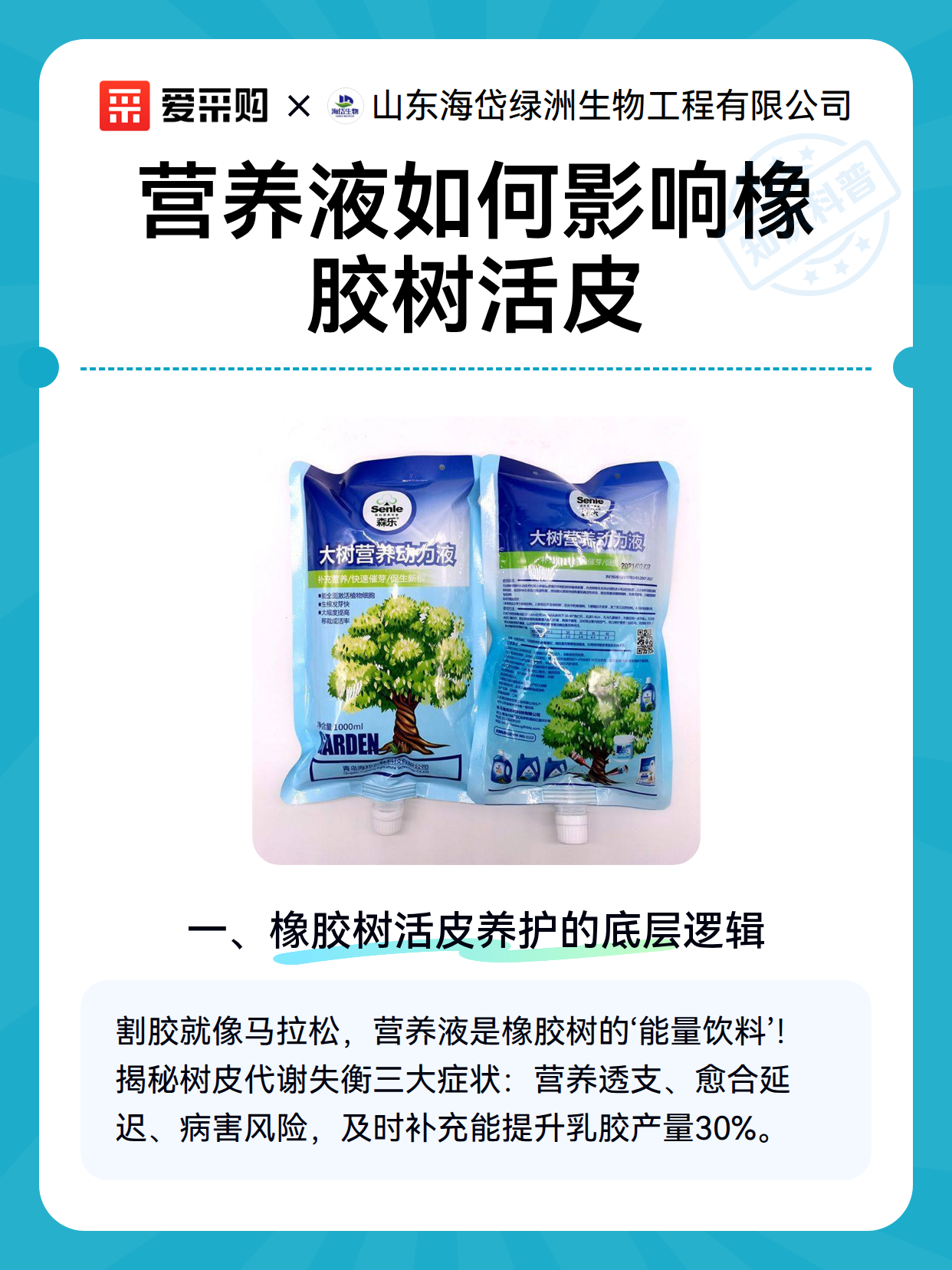 营养液如何影响橡胶树活皮（图2）