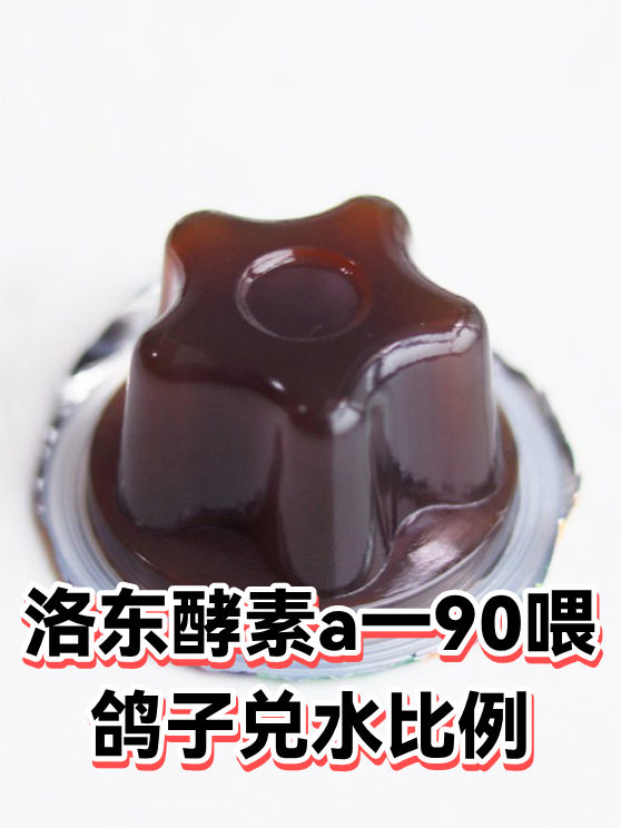 洛东酵素a一90喂鸽子兑水比例（图1）