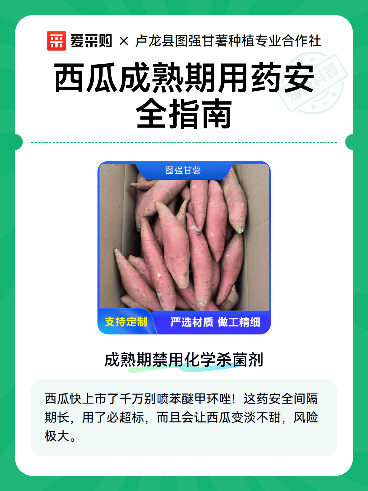 西瓜成熟期用药安全指南（图2）