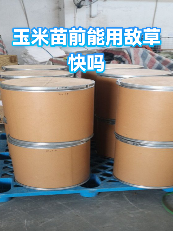 玉米苗前能用敌草快吗（图1）