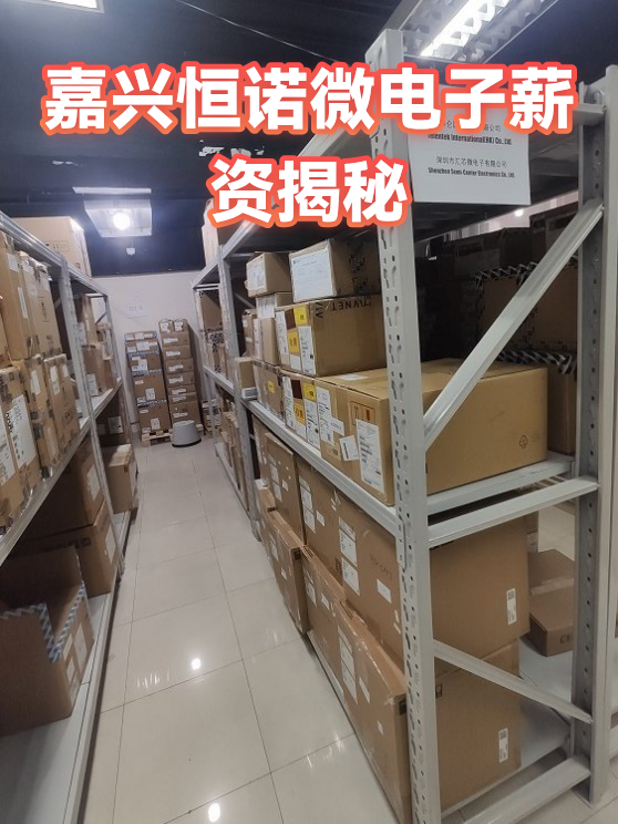 嘉兴恒诺微电子薪资揭秘（图1）