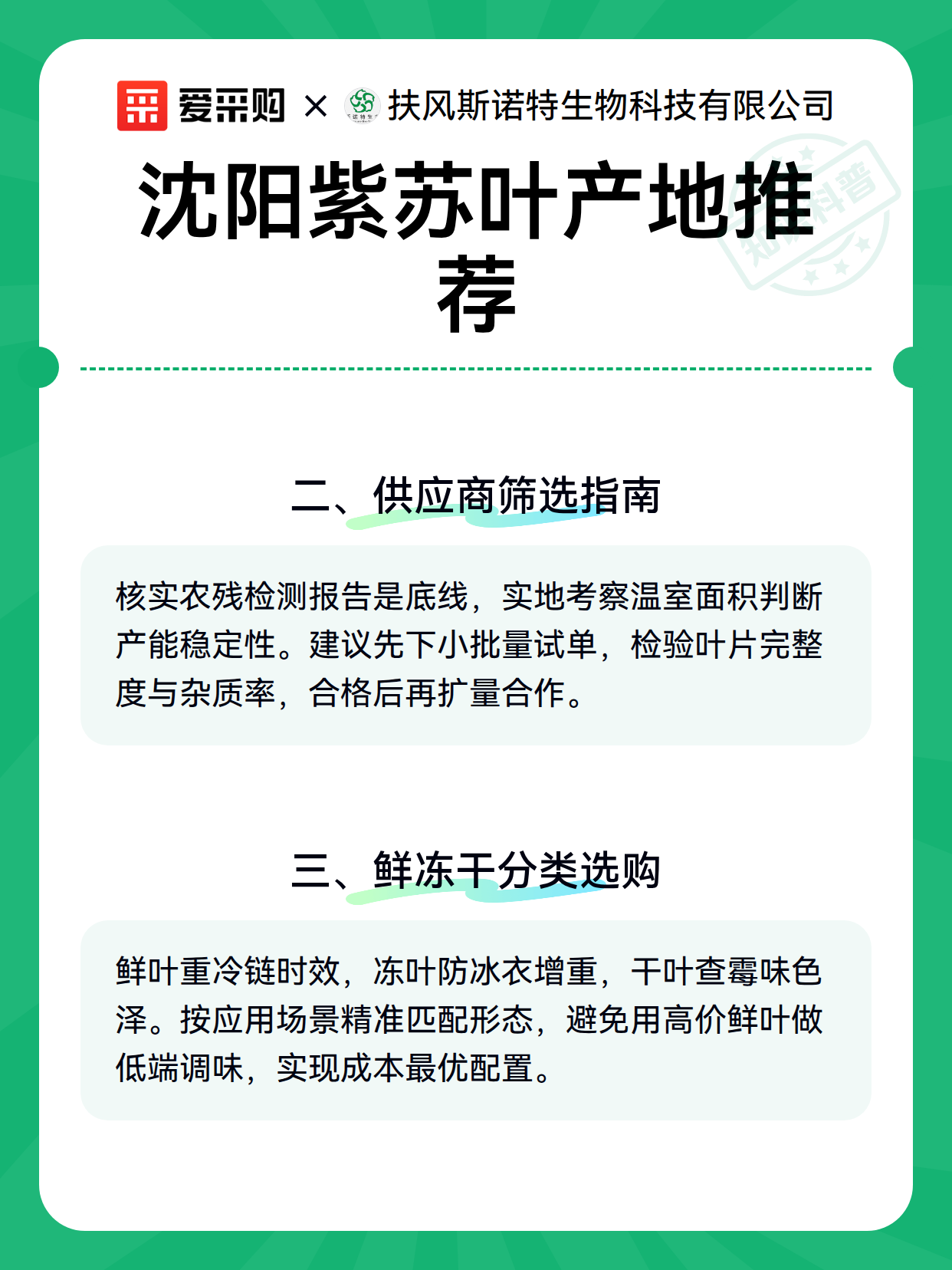 沈阳紫苏叶产地推荐（图3）