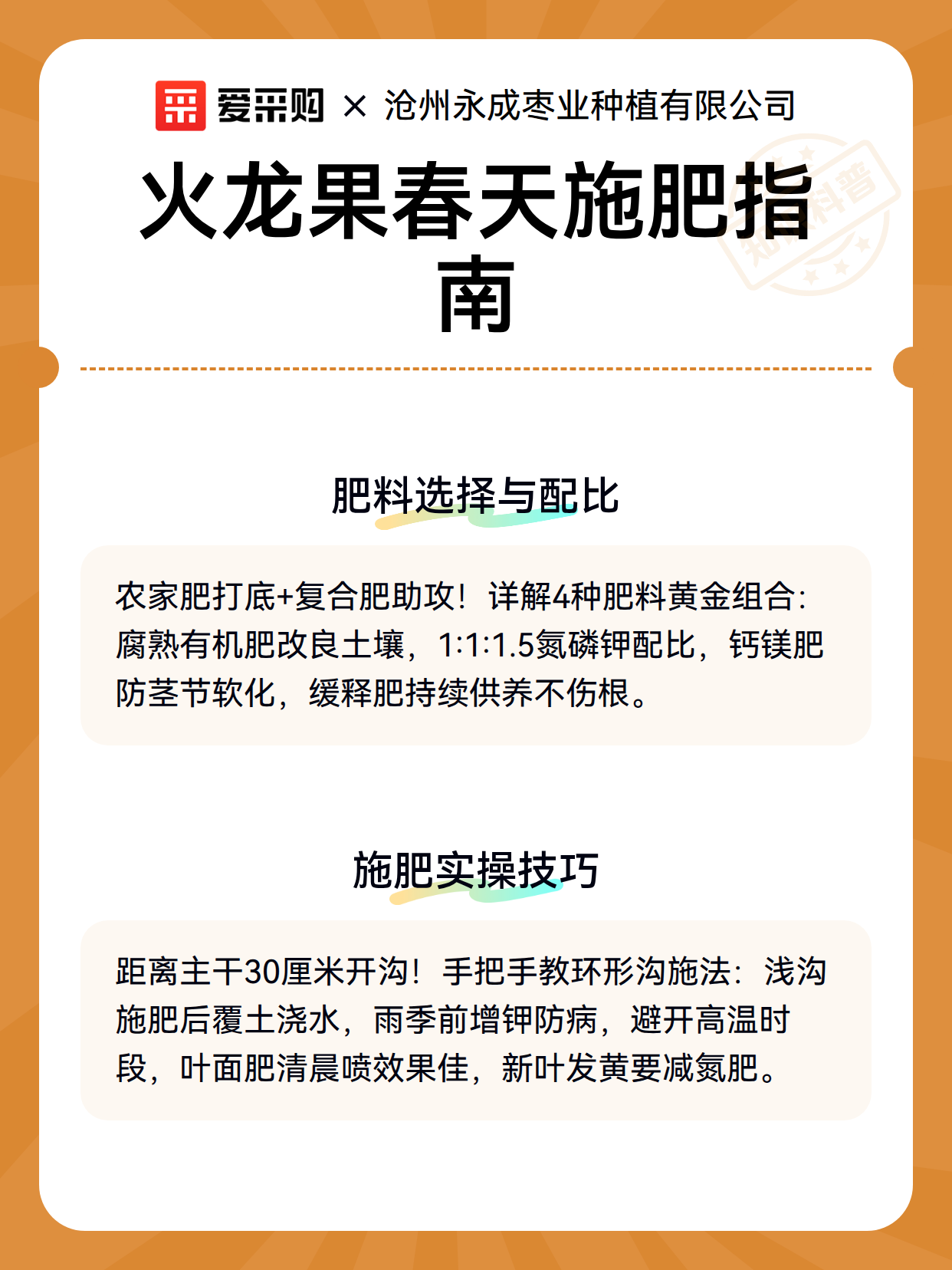 火龙果春天施肥指南（图3）