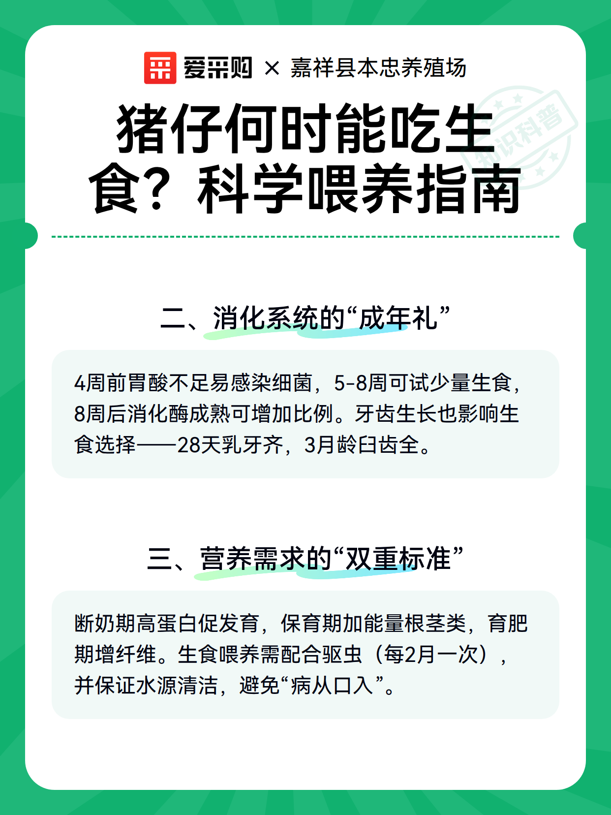 猪仔何时能吃生食？科学喂养指南（图2）