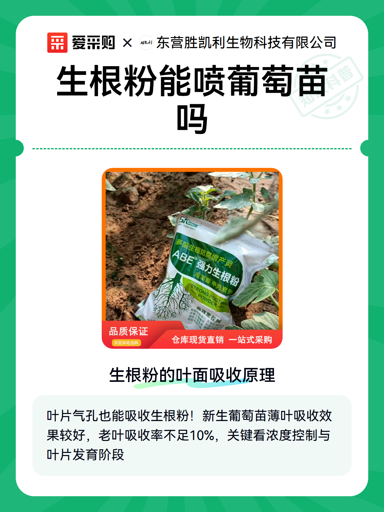 生根粉能喷葡萄苗吗（图2）