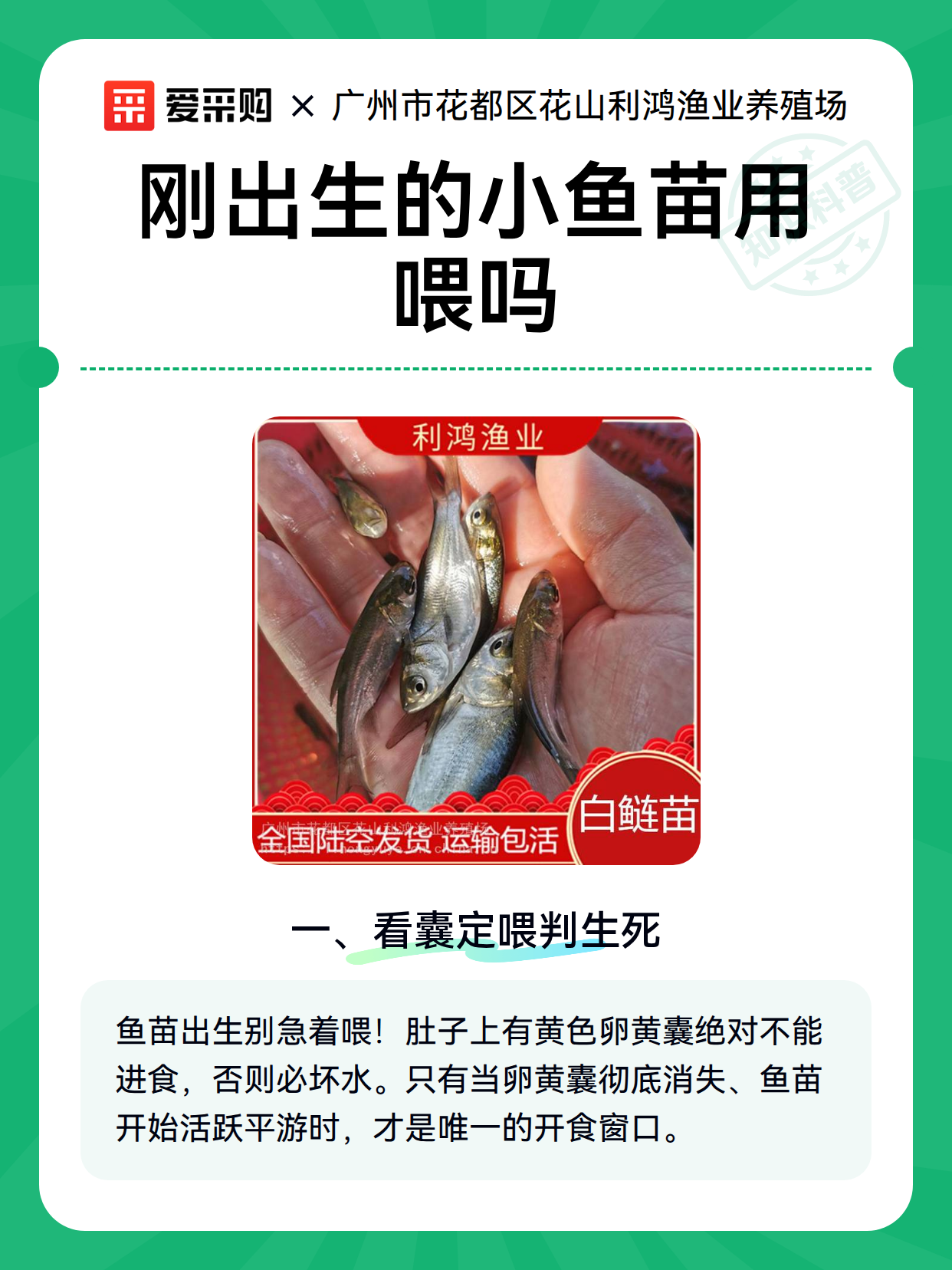 刚出生的小鱼苗用喂吗（图1）