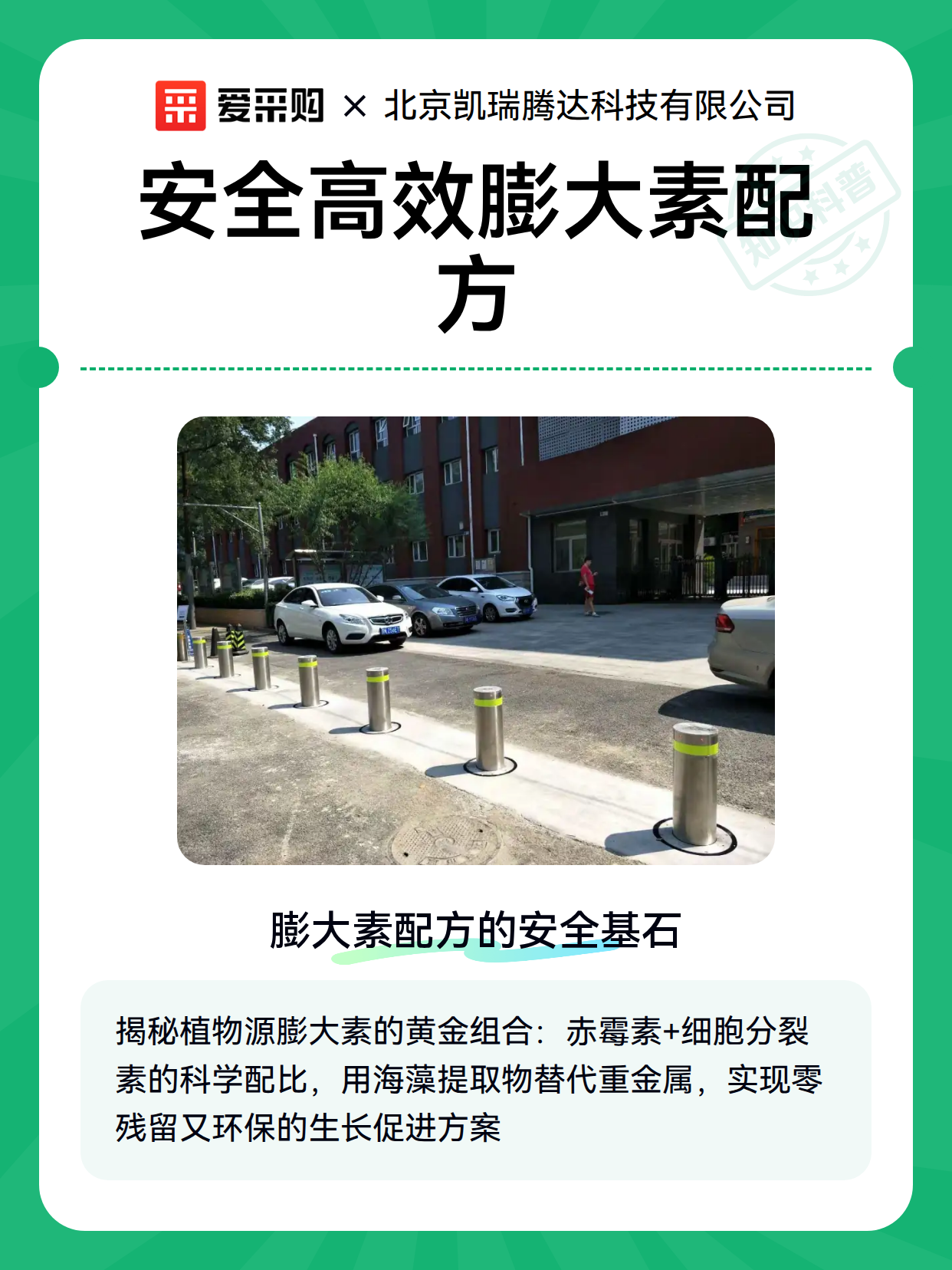 安全高效膨大素配方（图1）