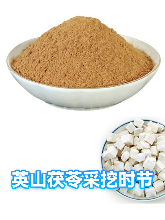 英山茯苓采挖时节（图1）