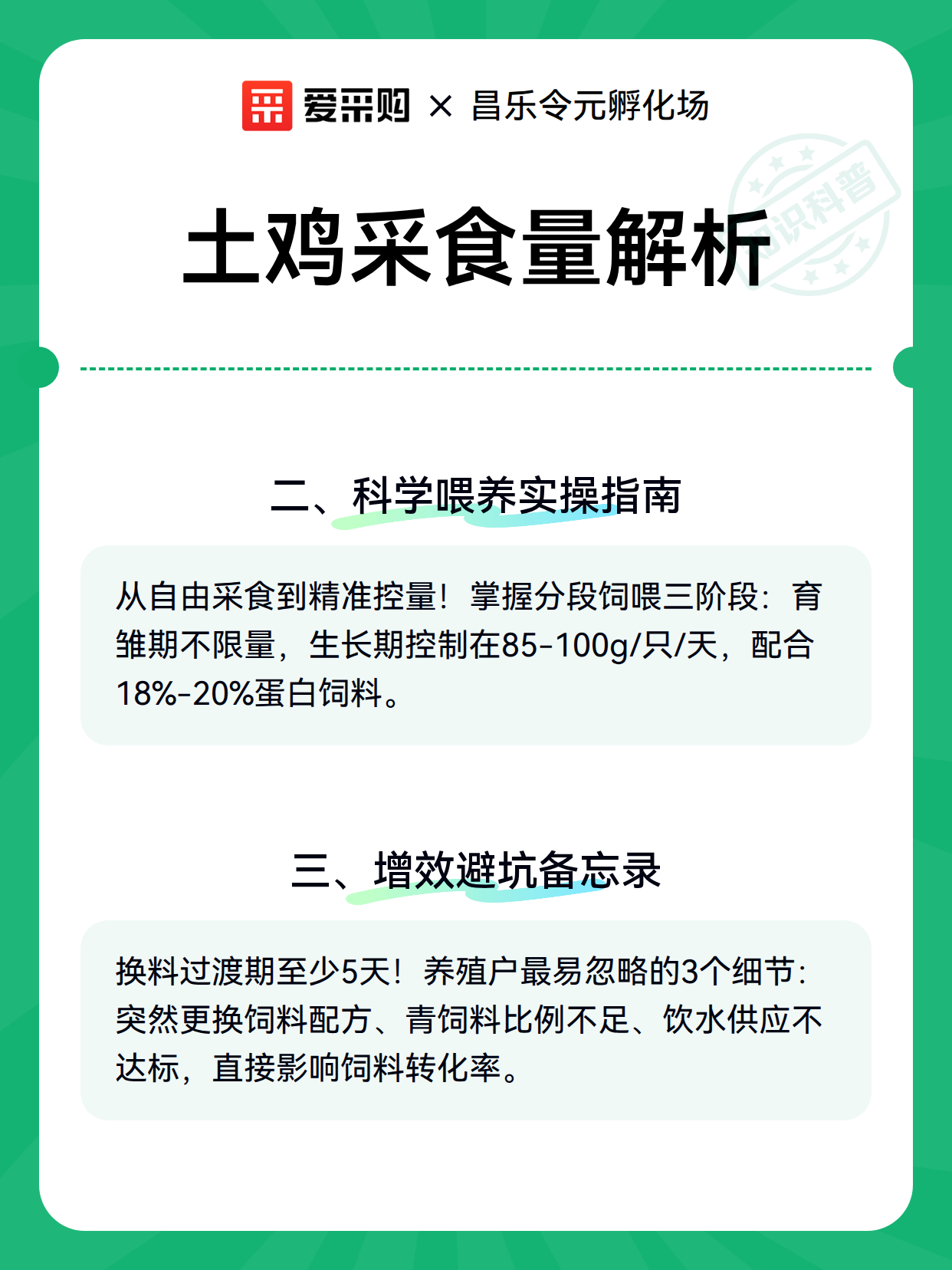土鸡采食量解析（图3）