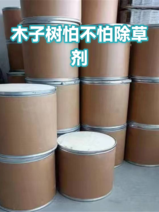 木子树怕不怕除草剂（图1）