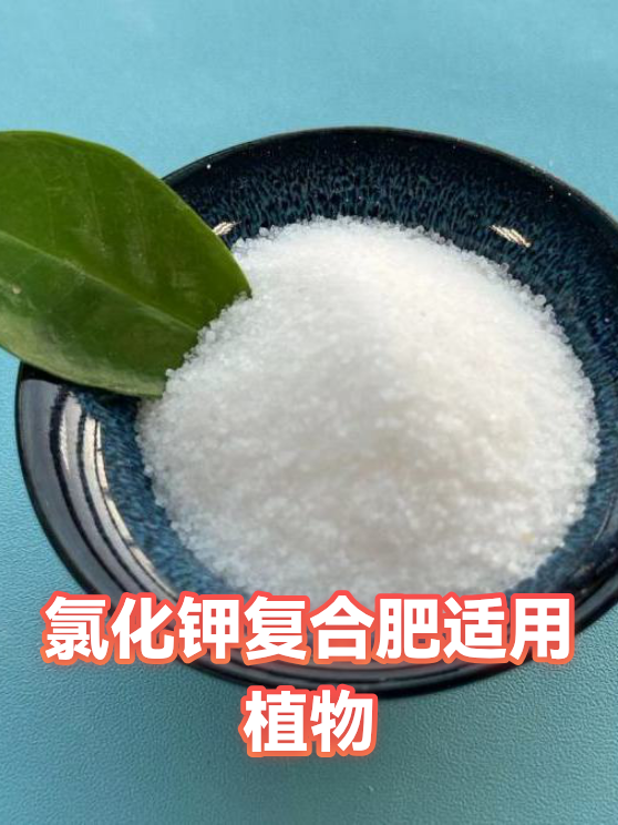 氯化钾复合肥适用植物（图1）
