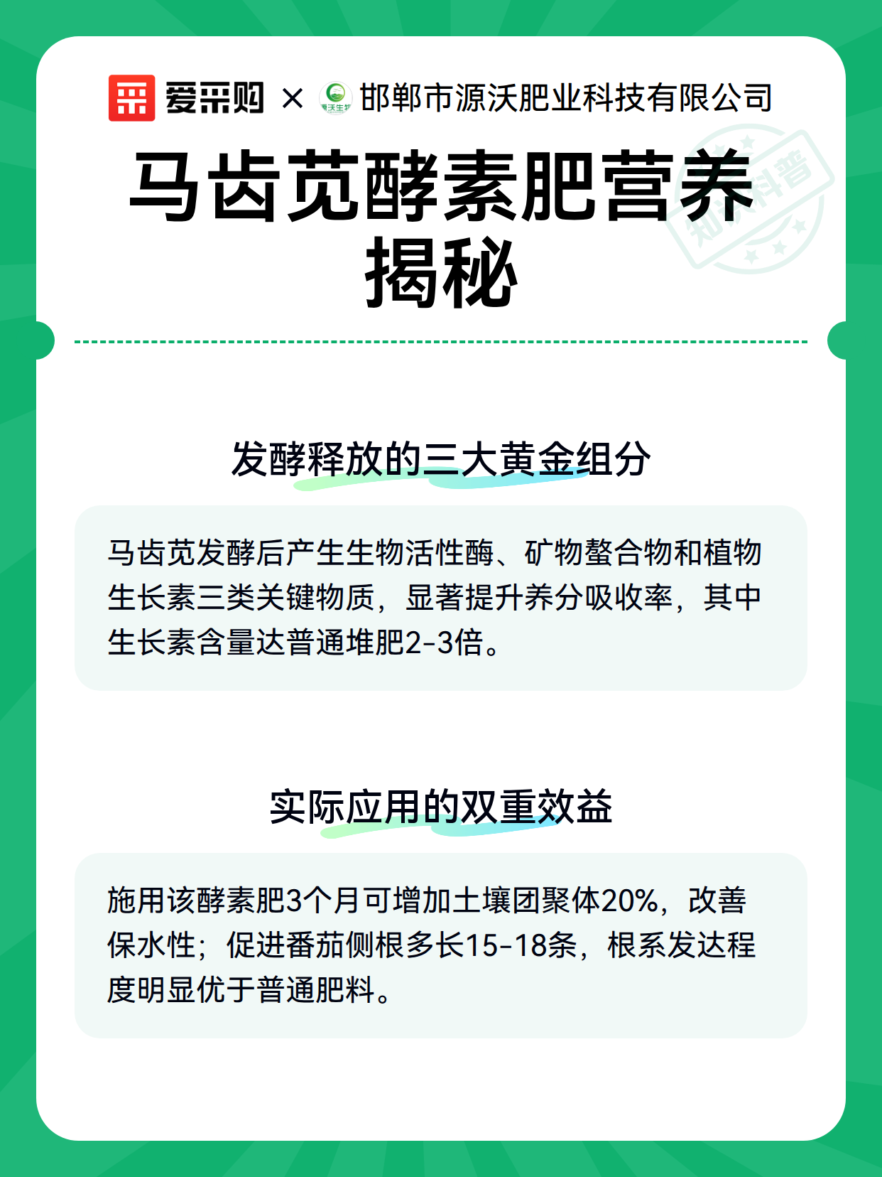 马齿苋酵素肥营养揭秘（图2）