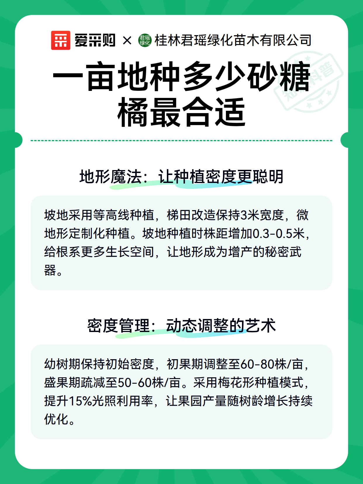 一亩地种多少砂糖橘最合适（图3）