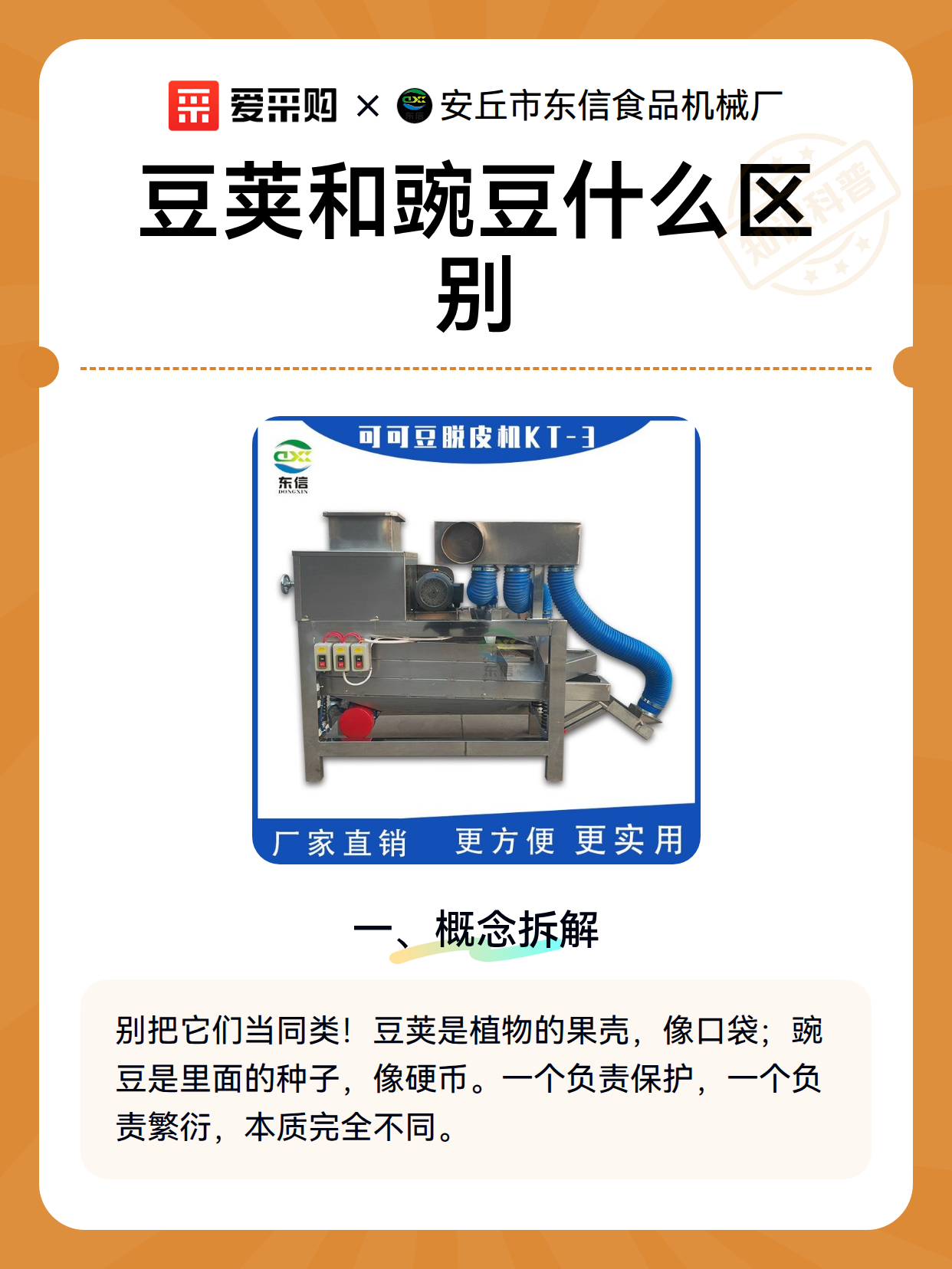 豆荚和豌豆什么区别（图1）