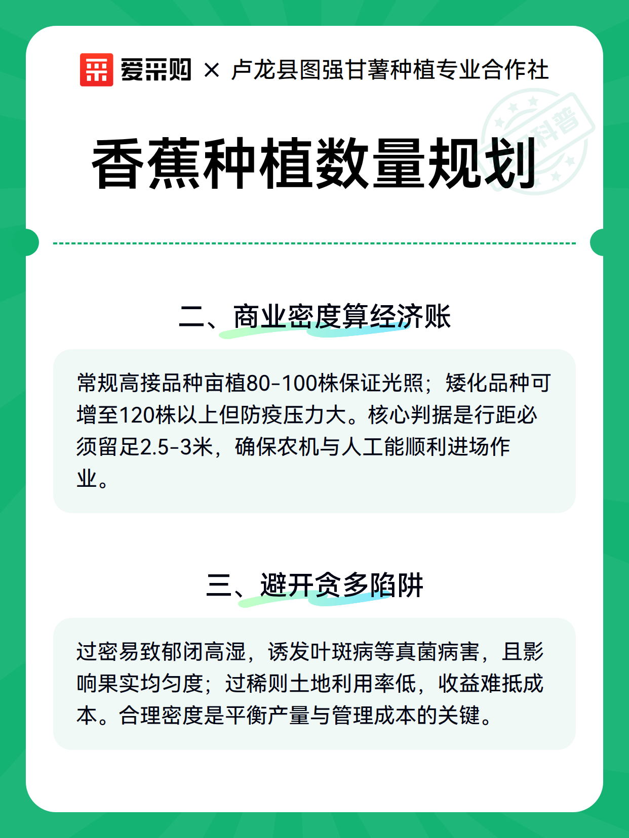 香蕉种植数量规划（图3）