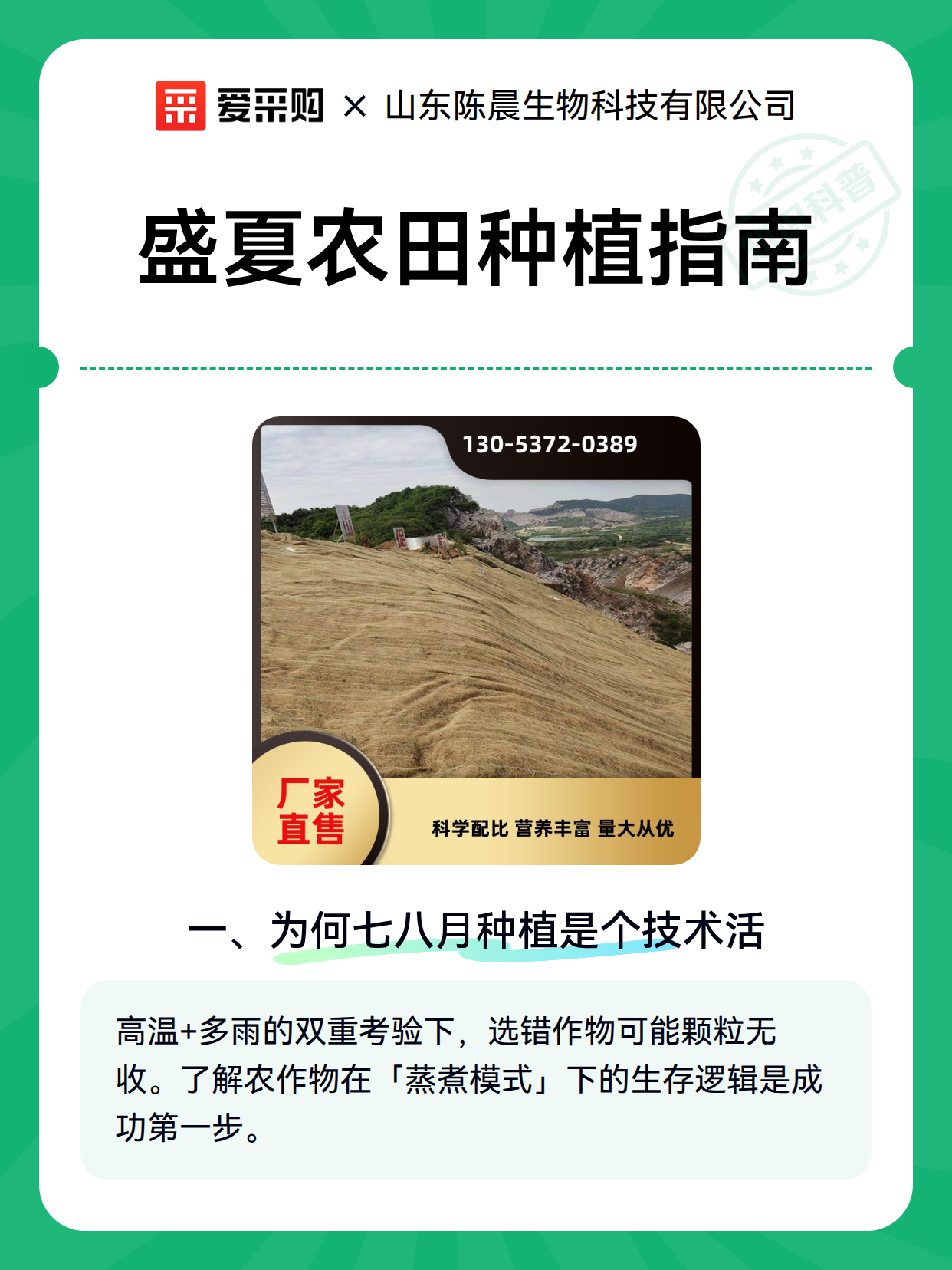 盛夏农田种植指南（图2）