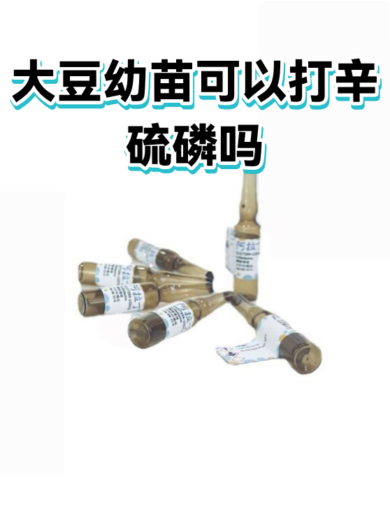 大豆幼苗可以打辛硫磷吗（图1）