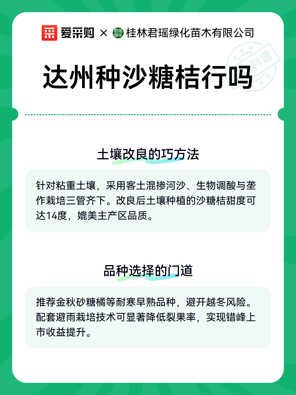 达州种沙糖桔行吗（图3）