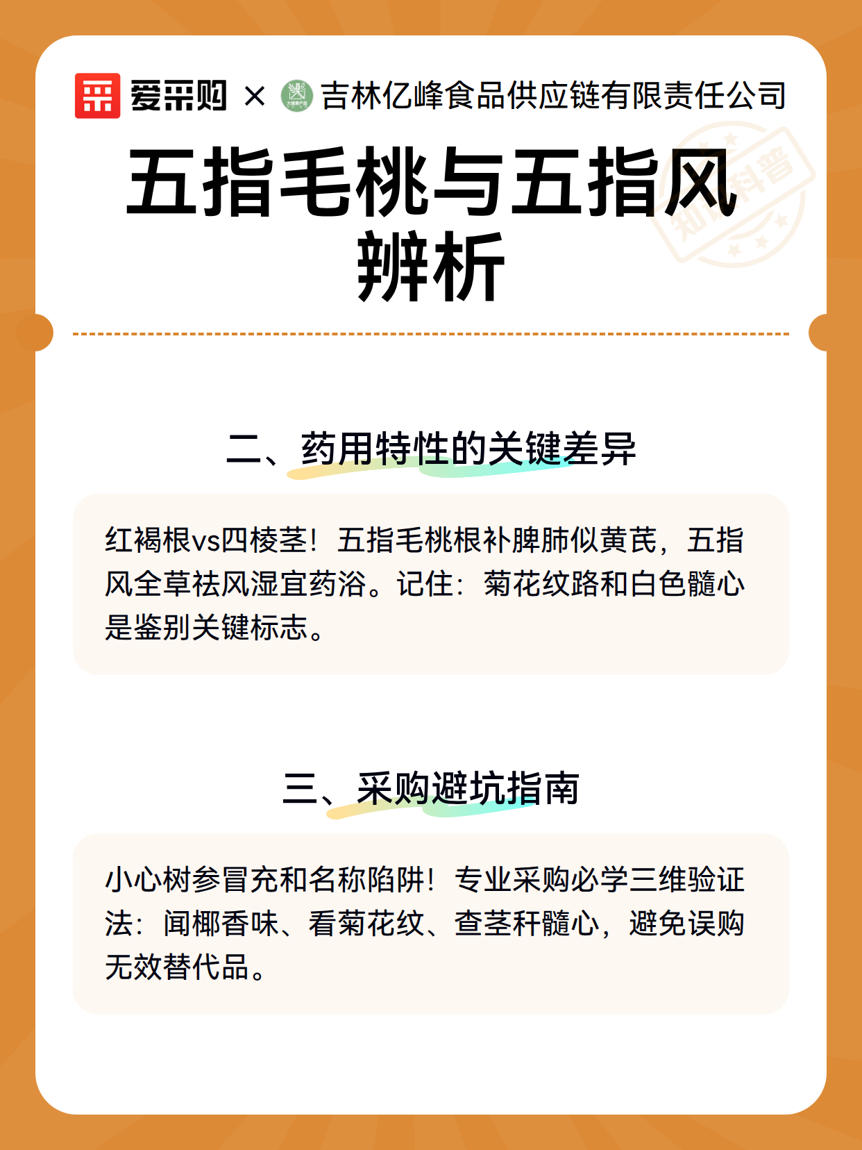 五指毛桃与五指风辨析（图3）