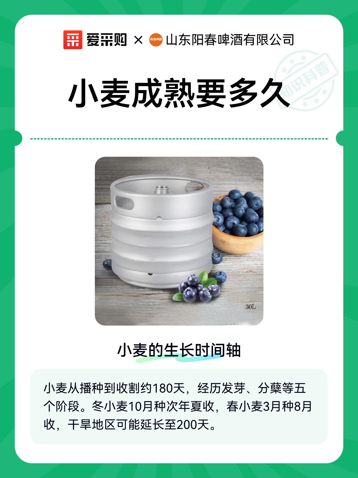 小麦成熟要多久（图1）