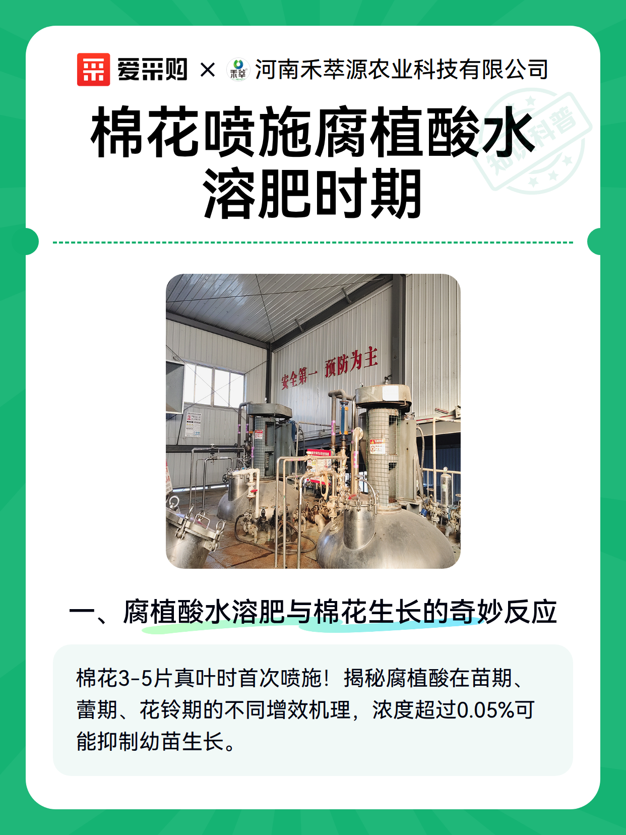 棉花喷施腐植酸水溶肥时期（图1）