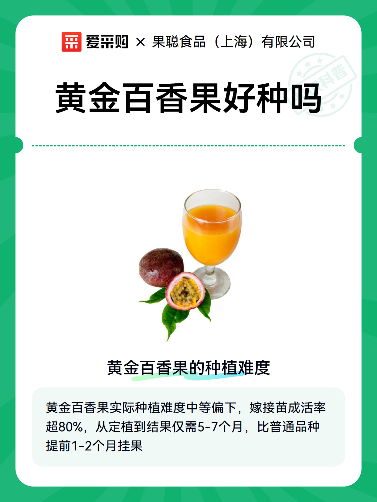 黄金百香果好种吗（图2）