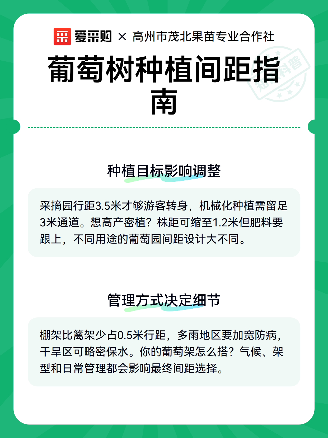 葡萄树种植间距指南（图3）