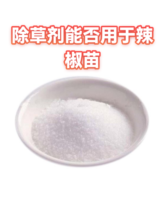 除草剂能否用于辣椒苗（图1）
