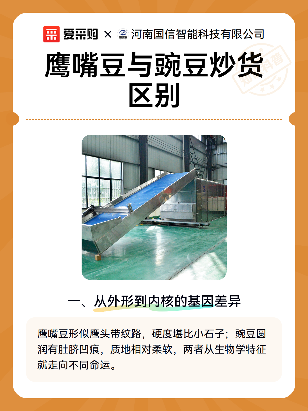 鹰嘴豆与豌豆炒货区别（图1）
