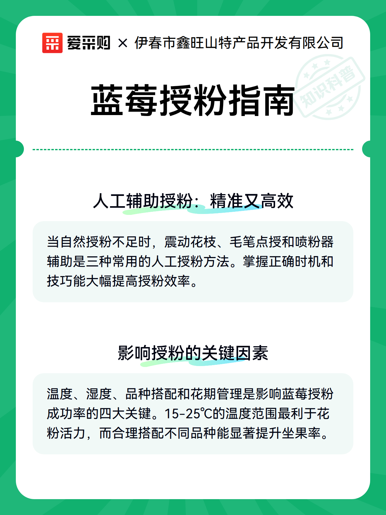蓝莓授粉指南（图3）