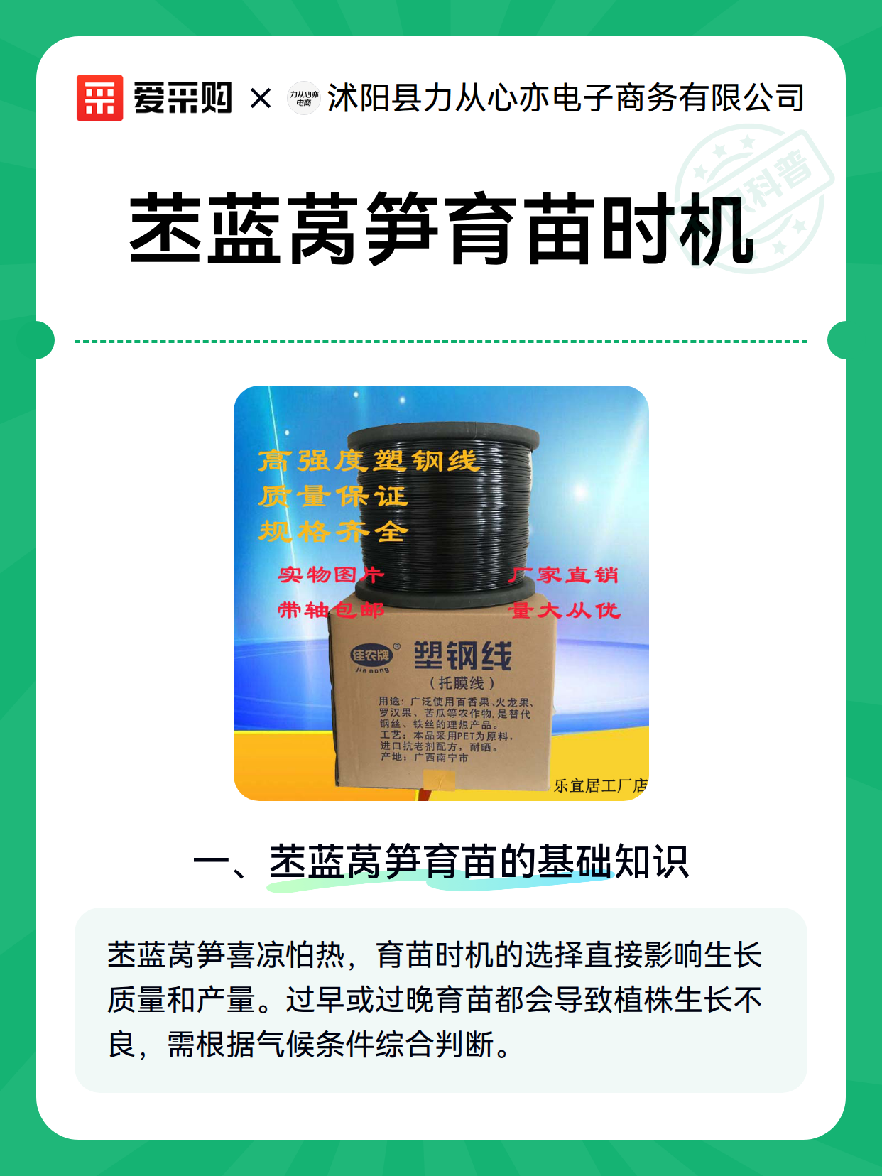 苤蓝莴笋育苗时机（图1）