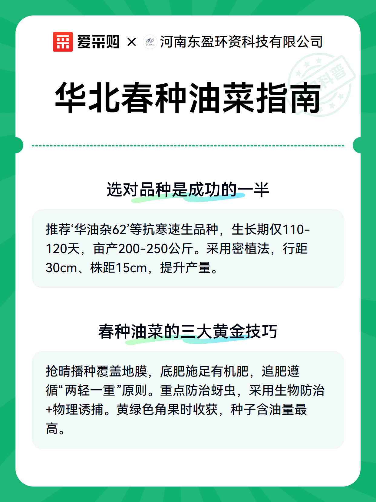华北春种油菜指南（图3）