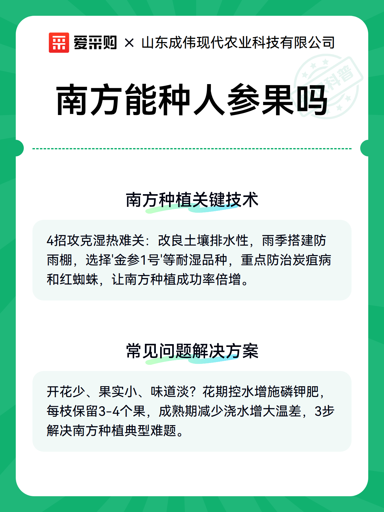 南方能种人参果吗（图3）