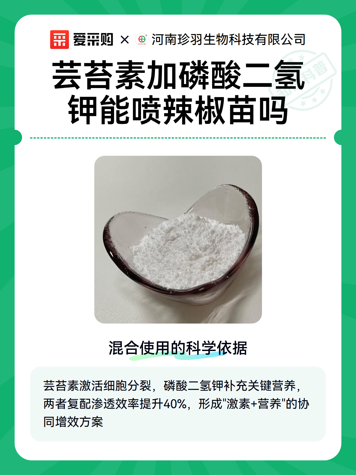 芸苔素加磷酸二氢钾能喷辣椒苗吗（图2）