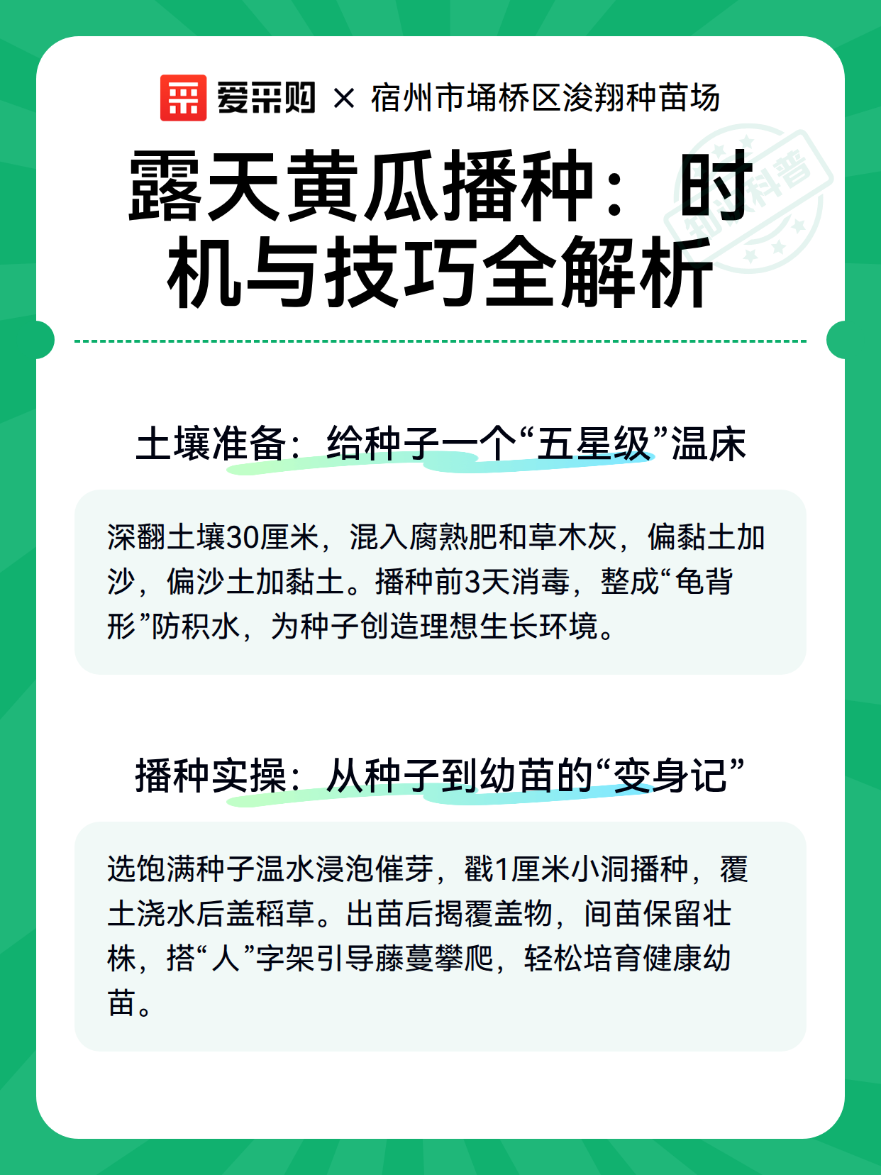 露天黄瓜播种：时机与技巧全解析（图3）
